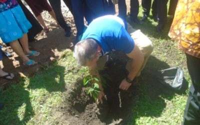 Visitors planting trees