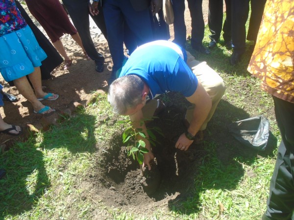 Visitors planting trees