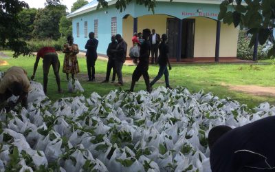 The College is delighted to be hosting the distribution of coffee seedlings through the recently formed Diocese of Northern Uganda coffee Cooperative. We are grateful to Ministry of Agriculture, and Operation Wealth Creation and our dear Lord Bishop Godfrey Loum for facilitating this new initiative in the Diocese.